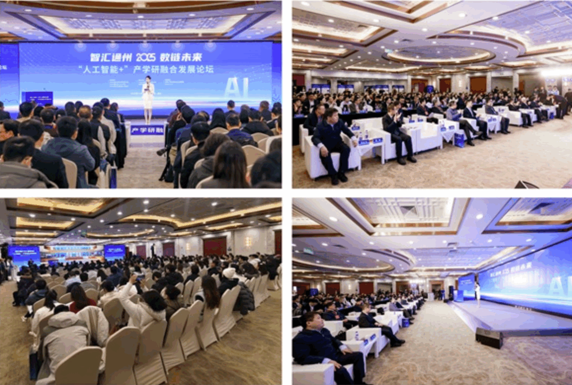 1765597215.png 1765597215.png